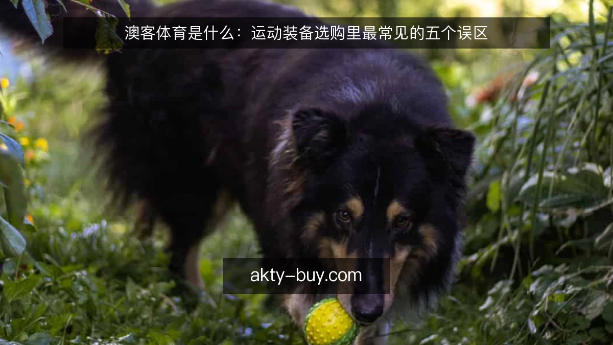 澳客体育是什么:运动装备选购里最常见的五个误区