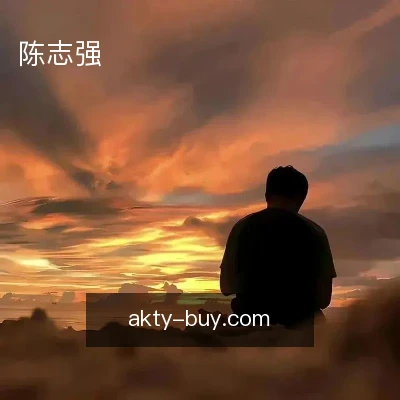 陈志强